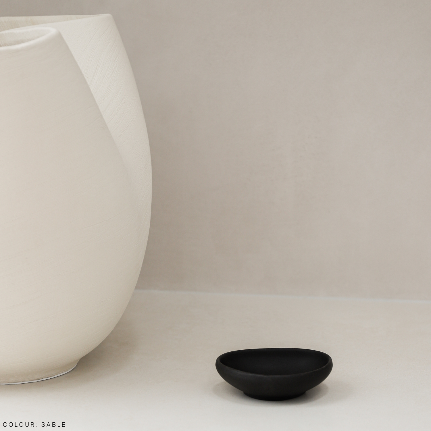 The Mini Arlo Dish